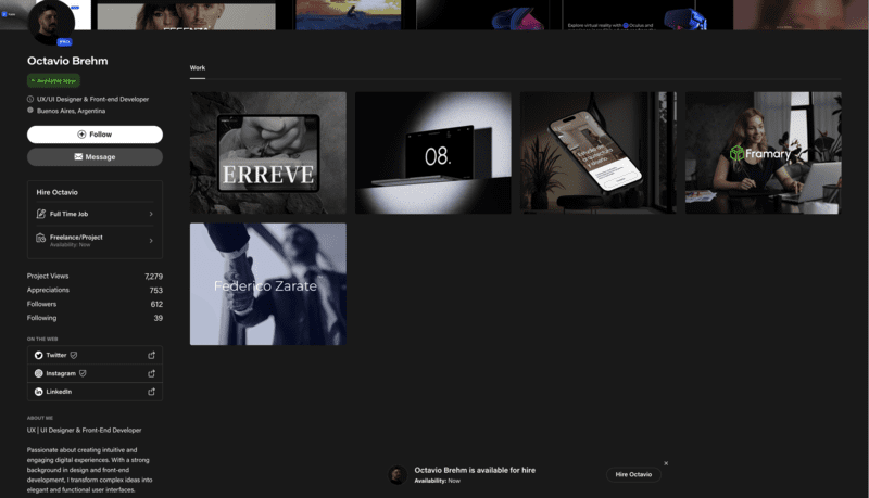 web developer profile behance