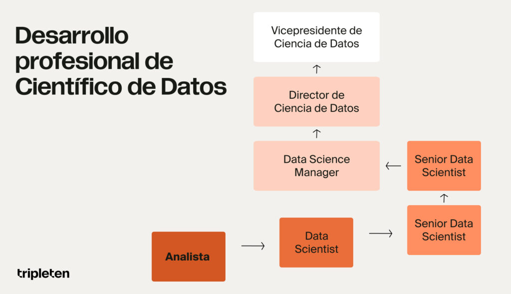 desarrollo profesional de un científico de datos