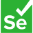 Selenium WebDriver