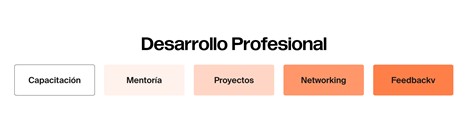 Estrategias de desarrollo profesional