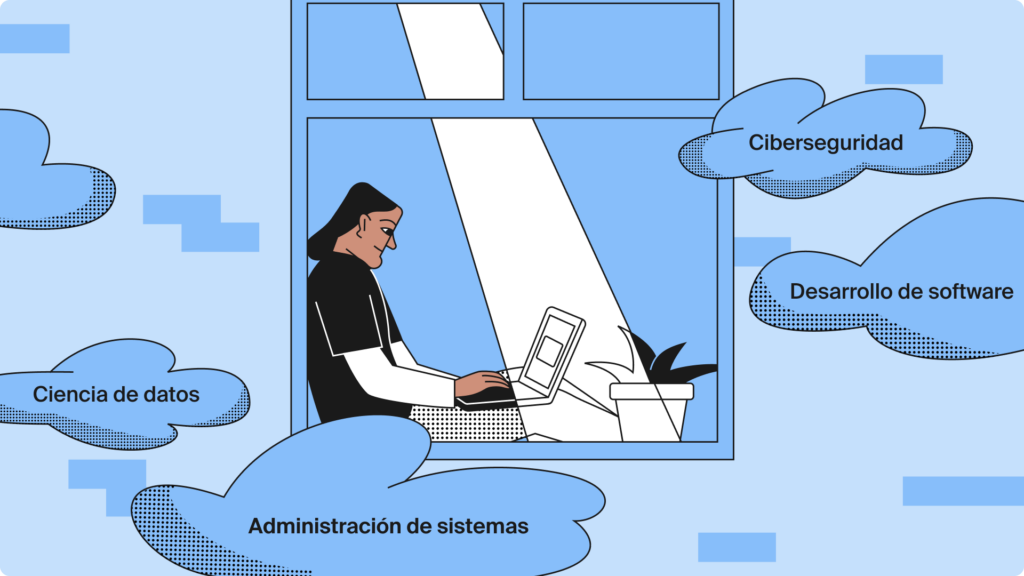 Campos y especialidades en TI en México 2025