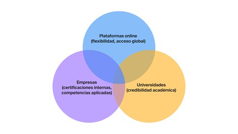 Plataformas y proveedores de micro-credenciales