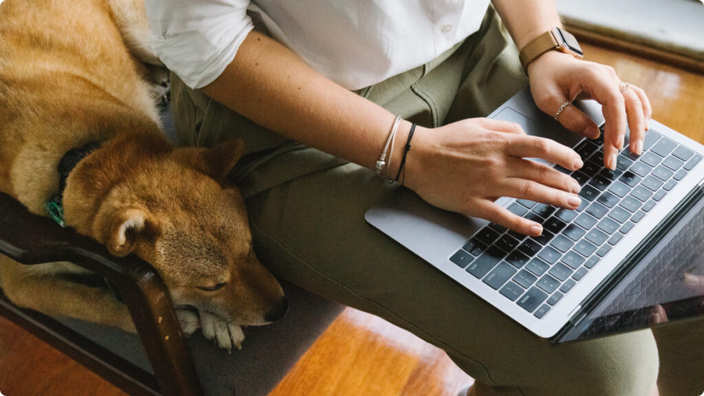 Trabajo remoto como analista de datos en México